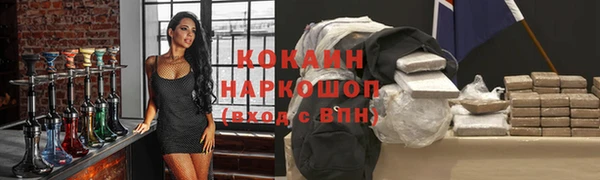 соль ск Богданович