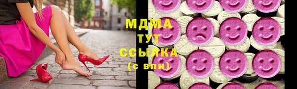 индика Богородицк